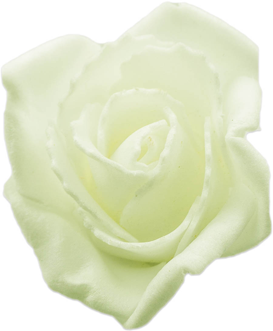 100x 5cm Rosenköpfe Blumen Dekorosen Rosen Hochzeit Deko Schaumrosen Schaum